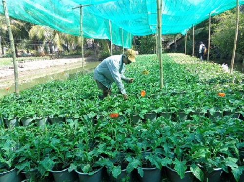Trà Vinh: Nông thôn đổi mới, nông dân đổi đời  - Ảnh 2